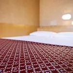 Palace Centro Hotel 3*