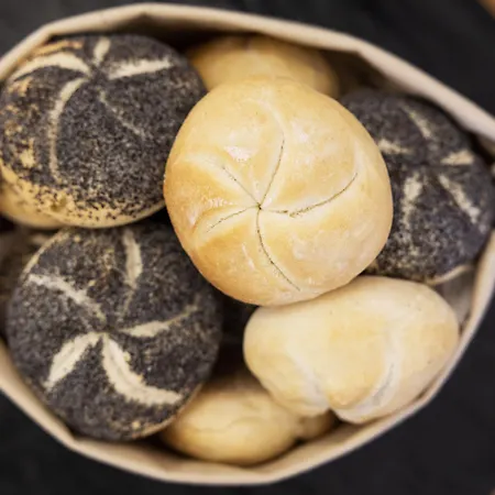 Palace Centro Hotell 3*